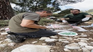 Antalyada yakalanan Balkan vaşağı GPS ile takip edilecek