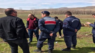 Aras Elektrik Dağıtım Şirketinin ihmali üzerine elektrik akımına kapılan 3 büyükbaş hayvan telef oldu