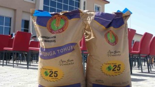 Ardahanda 210 çiftçiye 45 ton korunga tohumu dağıtıldı