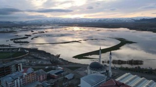 Ardahanda nehir taştı, ova göle döndü