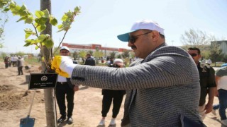 ASÜde 12 dönümlük alana farklı türde 350 adet fidan dikildi