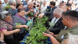 Ata tohumlarından fidanlar toprak ile buluşacak