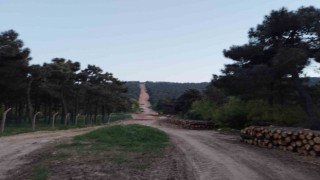 Aydos ormanında çıkan yangın söndürüldü