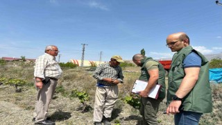 “Bağ Küllemesi Hastalıkları” yüzde 90 verim kaybına yol açabilir