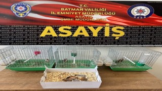 Batmanda satışı yasak hayvanları pazarlayan şahsa 19 bin 200 lira ceza