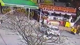 Beylikdüzünde pitbull cinsi köpeğin saldırısında dehşet anları kameraya yansıdı