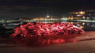 Beyoğlunda kaçak avlanılmış 3 ton midye ele geçirildi: 2 gözaltı