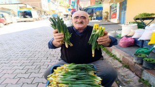 Bin bir zahmetle toplanıyor, vatandaşlar yoğun talep gösteriyor