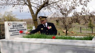 Bingölde emniyet mensupları, şehit kabirlerine karanfil bıraktı