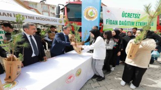 Bingölde vatandaşlara fidan dağıtımı yapıldı