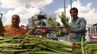 Bitliste ‘yayla muzu uçkunun fiyatı, ‘Anamur muzunu üçe katladı