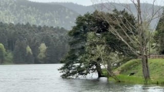 Boluda şiddetli rüzgar etkili oluyor