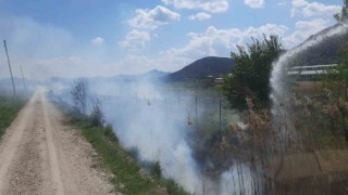 Burdurda çıkan sazlık yangını itfaiyenin hızlı müdahalesi ile söndürüldü