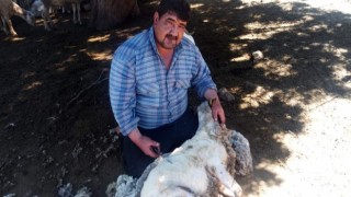 Burdurda devrilen traktörün altında kalan 1 kişi öldü, 2 kişi yaralandı