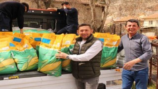 Büyükşehir Belediyesinden silajlık mısır tohumu desteği