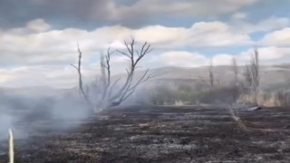 Çankırıda arazi yangını