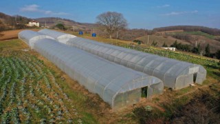 Çiftçilere yüzde 50 hibeli modern sera desteği