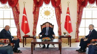 Cumhurbaşkanı Erdoğan, Mısır Dışişleri Bakanı Şukriyi kabul etti