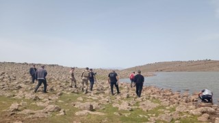 Diyarbakırda dün kaybolan çobanın bulunması için çalışma başlatıldı