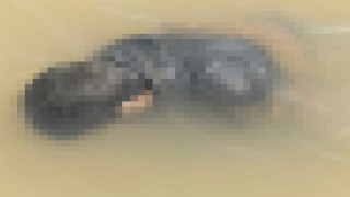 Diyarbakırda kaybolan gencin cesedi bulundu