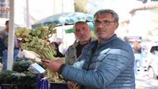 Doğunun muzu ışkın tezgahlarda yerini aldı