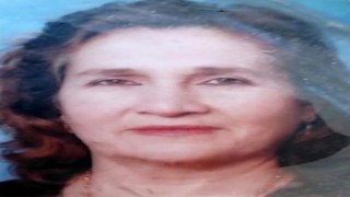 Dolmuşun açık bırakılan kapısından düşen kadın hayatını kaybetti