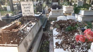 Domuzlar şimdi de mezarlara dadandı