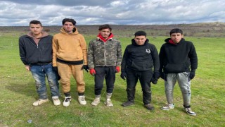 Edirnede Bulgaristana kaçamaya çalışan 5 Mısırlı kaçak göçmen yakalandı