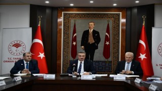 Eğirdir Gölü için korkutan tahmin: 2028de göl ikiye ayrılabilir