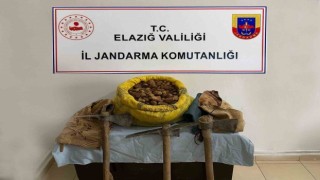 Elazığda 30 kilogram salep bitkisi ele geçirildi