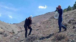 Elazığda Baskil ters lalesi izleme çalışması yapıldı