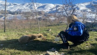 Emniyet personeli can dostları besledi