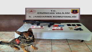 Erzincanda jandarmanın 1 aylık faaliyeti açıklandı