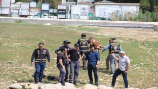 Eski eşi hakkında dedikodu yaptığını iddia ettiği akrabasını sırtından vurarak öldürdü