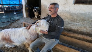 Et fiyatları artınca kurbanlık siparişleri erken verildi