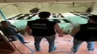 Evde “Zehir” serası