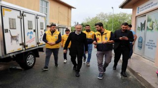 Eyüpsultanda sokak hayvanlarına yönelik çalışmalar sürdürülüyor