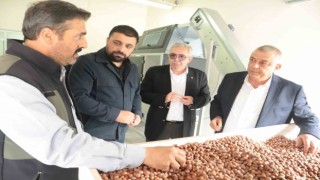 Fındık katma değeri yüksek ürün haline gelecek