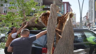 Fırtınada ağaç cipin üzerine devrildi, çatılar uçtu