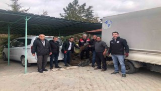 Günyüzünde üzüm projesi hayata geçti