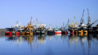 Hamdi Arslan: Balıkların yumurtalaması için göç döneminde avcılık tümüyle yasaklanmalı