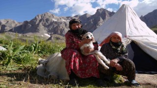 Havalar ısındı, meralar şenlendi