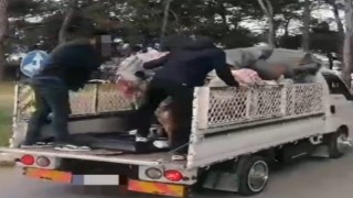 Hurdacı kılığına giren polis, uyuşturucu tacirini şoka uğrattı