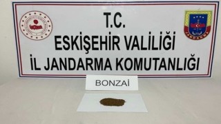 Jandarma operasyonlarında 12 gram uyuşturucu madde ele geçirildi