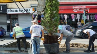 Kağıthane Belediyesi ilçeye 60 bin ağaç kazandırdı