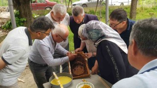 Karabükte üreticiler ana arı yetiştirmenin püf noktalarını öğrendi