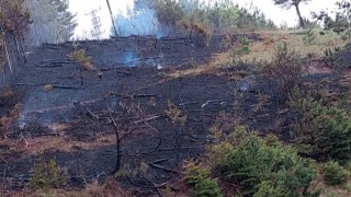 Kastamonuda enerji nakil hattından çıkan yangın büyümeden söndürüldü