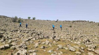 Kayıp çoban 3 gündür arazi, gölet, mağara ve metruk yapılarda aranıyor