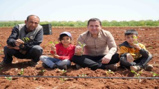 Kiliste biber fideleri çocukların elleriyle toprakla buluştu