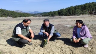 Kömür Ocağı Bal Ormanı, örnek bal ormanı haline geldi